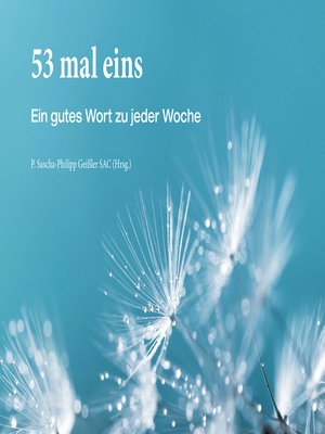 cover image of 53 mal eins